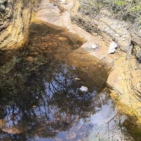 Sítio A Venda Em São Thomé Das Letras no Rural  Sobradinho de Minas