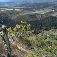 Venda de Sítio em Rural  Sobradinho de Minas em São Thomé das Letras-MG