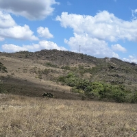 Venda de Sítio em Rural  Sobradinho de Minas em São Thomé das Letras-MG