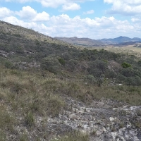 Venda de Sítio em Rural  Sobradinho de Minas em São Thomé das Letras-MG