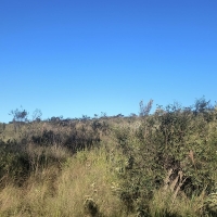 Terreno A Venda Em São Thomé Das Letras no Rural Caí