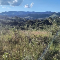Terreno A Venda Em São Thomé Das Letras no Rural Caí