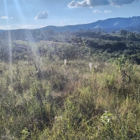 Terreno A Venda Em São Thomé Das Letras no Rural Caí