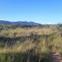 Venda de Terreno em Rural Caí em São Thomé das Letras-MG