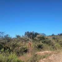 Venda de Terreno em Rural Caí em São Thomé das Letras-MG