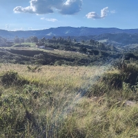Venda de Terreno em Rural Caí em São Thomé das Letras-MG
