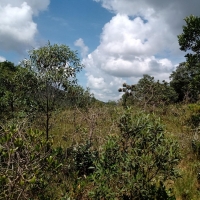 Terreno A Venda Em São Thomé Das Letras no Rural Canta Galo