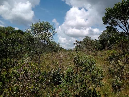 Venda De Terreno Em So Thom Das Letras-MG