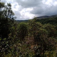 Terreno A Venda Em São Thomé Das Letras no Rural Canta Galo
