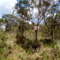 Terreno A Venda Em São Thomé Das Letras no Rural Canta Galo