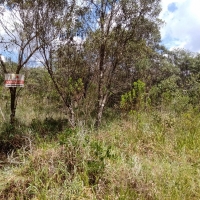 Terreno A Venda Em São Thomé Das Letras no Rural Canta Galo
