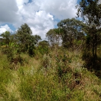 Terreno A Venda Em São Thomé Das Letras no Rural Canta Galo