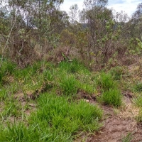 Terreno A Venda Em São Thomé Das Letras no Rural Canta Galo