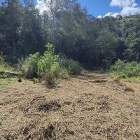 Venda de Terreno em Rural Canta Galo em São Thomé das Letras-MG