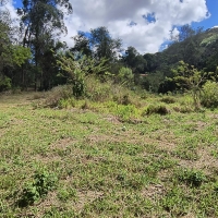 Venda de Terreno em Rural Canta Galo em São Thomé das Letras-MG