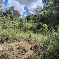 Venda de Terreno em Rural Canta Galo em São Thomé das Letras-MG