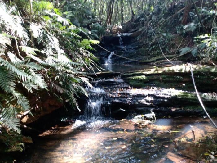 Venda De Terreno Em So Thom Das Letras-MG