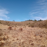 Venda de Terreno em Rural Lagoa em São Thomé das Letras-MG