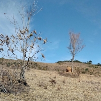Venda de Terreno em Rural Lagoa em São Thomé das Letras-MG