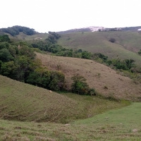 Terreno A Venda Em São Thomé Das Letras no Rural Vale das Borboletas