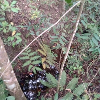 Terreno A Venda Em São Thomé Das Letras no Rural Vale das Borboletas