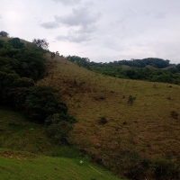 Terreno A Venda Em São Thomé Das Letras no Rural Vale das Borboletas